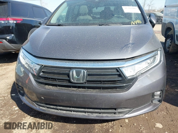 2024 Honda Odyssey EX-L with VIN 5FNRL6H65RB016848, listed as a IAAI auction lot 41762469 with 18,909 mi miles and . Bid and sale history available at DreamBid. Image 13.