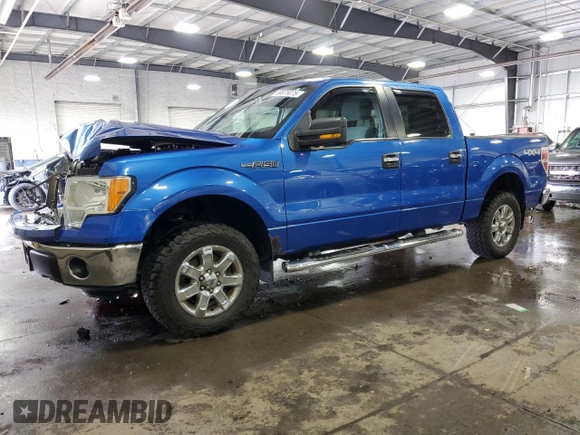 2013 Ford F-150 XL with VIN 1FTFW1EF1DKF18124, listed as a Copart auction lot 59978075 with 151,545 mi miles and Salvage title. Bid and sale history available at DreamBid. Image 1.