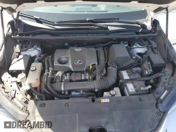 2021 Lexus NX with VIN JTJDARBZ0M5032113, listed as a Copart auction lot 50185745 with 53,602 mi miles and Salvage Title. Bid and sale history available at carsss.com. Image 12.