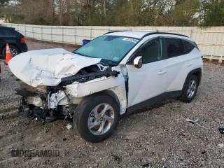 2024 Hyundai Tucson SEL with VIN 5NMJB3DE0RH366009, listed as a Copart auction lot 48182905 with 18,566 mi miles and Salvage Title. Bid and sale history available at carsss.com. Image 1.