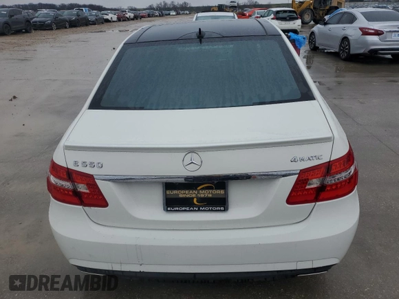 2010 Mercedes-Benz E-Class E 550 Luxury with VIN WDDHF9AB5AA250552, listed as a Copart auction lot 42987425 with 117,474 mi miles and Clean Title. Bid and sale history available at carsss.com. Image 6.