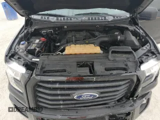 2017 Ford F-150 XL with VIN 1FTEX1CP4HKD67029, listed as a Copart auction lot 47726485 with 171,921 mi miles and Salvage Title. Bid and sale history available at carsss.com. Image 12.
