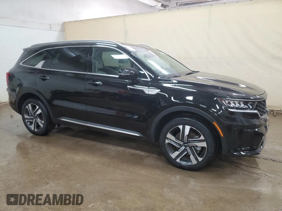 2024 Kia Sorento EX with VIN KNDRHDLGXR5258302, listed as a Copart auction lot 59800195 with 22,250 mi miles and Clean title. Bid and sale history available at DreamBid. Image 4.