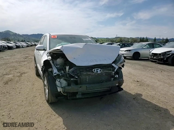2019 Hyundai Tucson SE with VIN KM8J23A43KU018310, listed as a Copart auction lot 48601625 with 55,208 mi miles and Salvage Title. Bid and sale history available at carsss.com. Image 12.