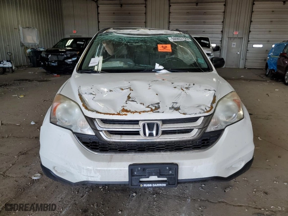 2010 Honda CR-V EX with VIN 5J6RE4H55AL013997, listed as a Copart auction lot 50903125 with 146,394 mi miles and Non Repairable. Bid and sale history available at carsss.com. Image 5.