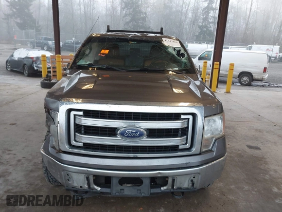 2013 Ford F-150 XL z VIN 1FTEX1EM5DFD13616, wystawiony jako IAAI lot #41347664 z przebiegiem 200 619 mil mil oraz . Historia ofert i sprzedaży dostępna na DreamBid. Obrazek 12.
