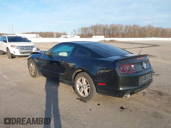 2014 Ford Mustang V6 z VIN 1ZVBP8AM4E5262440, wystawiony jako IAAI lot #41523652 z przebiegiem 140 573 mil mil oraz . Historia ofert i sprzedaży dostępna na DreamBid. Obrazek 3.