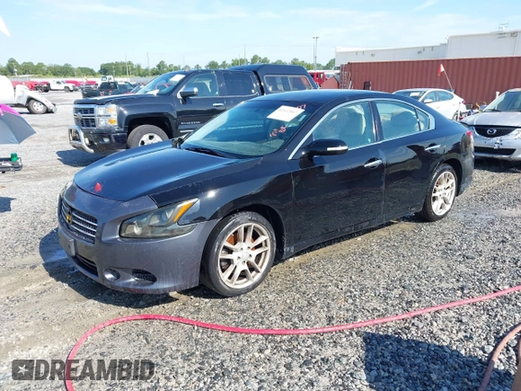 2011 Nissan Maxima SV with VIN 1N4AA5APXBC858867, listed as a IAAI auction lot 42612007 with 201,235 mi miles and . Bid and sale history available at DreamBid. Image 2.