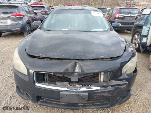 2011 Nissan Maxima 3.5 SV with VIN 1N4AA5AP0BC851314, listed as a IAAI auction lot 41506379 with 195,985 mi miles. Bid and sale history available at carsss.com. Image 6.
