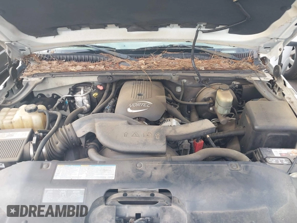 2002 Chevrolet Avalanche with VIN 3GNEC13T92G185390, listed as a IAAI auction lot 42619388 with 164,145 mi miles and . Bid and sale history available at DreamBid. Image 10.