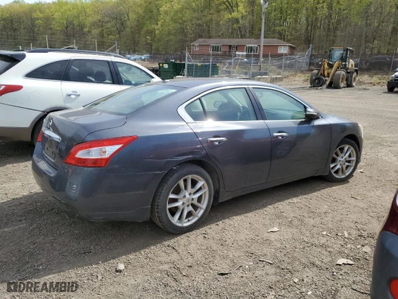2010 Nissan Maxima 3.5 SV w/Sport Pkg with VIN 1N4AA5APXAC817024, listed as a Copart auction lot 53623465 with 0 mi miles and Salvage Title. Bid and sale history available at carsss.com. Image 3.