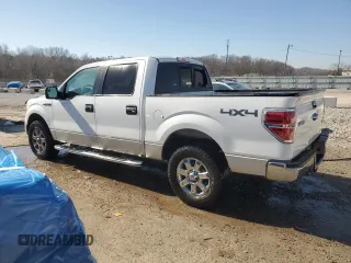 2013 Ford F-150 XL with VIN 1FTFW1EF0DFA71889, listed as a Copart auction lot 47989605 with 282,091 mi miles and Salvage Title. Bid and sale history available at carsss.com. Image 2.