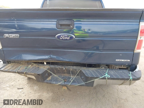 2013 Ford F-150 XL with VIN 1FTFW1EF9DFC06013, listed as a IAAI auction lot 41942423 with 300,161 mi miles and . Bid and sale history available at carsss.com. Image 18.