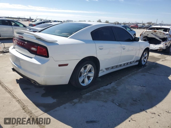 2013 Dodge Charger SE with VIN 2C3CDXBG5DH623754, listed as a Copart auction lot 46846175 with 187,841 mi miles and Salvage Title. Bid and sale history available at DreamBid. Image 3.
