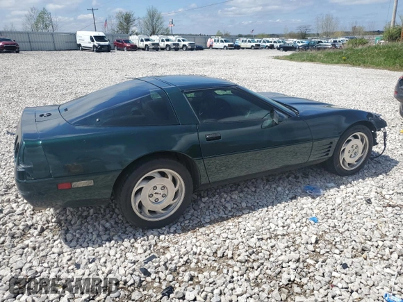1994 Chevrolet Corvette with VIN 1G1YY22P9R5104819, listed as a Copart auction lot 55630535 with 75,430 mi miles and Salvage title. Bid and sale history available at DreamBid. Image 3.