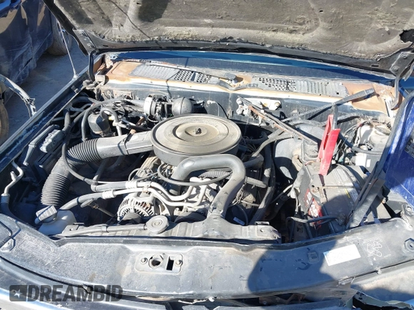1994 Dodge Dakota z VIN 1B7GL23Y3RS666631, wystawiony jako IAAI lot #41767014 z przebiegiem 236 956 mil mil oraz . Historia ofert i sprzedaży dostępna na DreamBid. Obrazek 10.