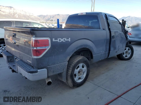 2013 Ford F-150 XL with VIN 1FTMF1EF1DKD97179, listed as a Copart auction lot 74531024 with Not Provided miles and Salvage Title. Bid and sale history available at DreamBid. Image 3.