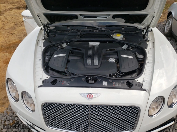 2016 Bentley Flying Spur V8 with VIN SCBET9ZA3G8057224, listed as a Copart auction lot 49170214 with 0 mi miles and Salvage Title. Bid and sale history available at carsss.com. Image 7.
