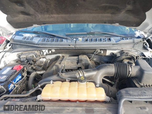 2017 Ford F-150 XL with VIN 1FTEX1EP1HKC49713, listed as a IAAI auction lot 41231172 with 250,679 mi miles. Bid and sale history available at carsss.com. Image 10.
