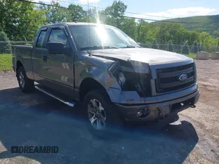 2013 Ford F-150 XL z VIN 1FTEX1EM9DFC99848, wystawiony jako IAAI lot #42297022 z przebiegiem 175 466 mil mil oraz . Historia ofert i sprzedaży dostępna na DreamBid. Obrazek 1.