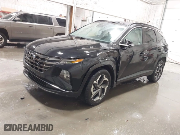 2024 Hyundai Tucson Limited with VIN 5NMJECDE7RH340093, listed as a IAAI auction lot 41379782 with 33,448 mi miles. Bid and sale history available at carsss.com. Image 18.