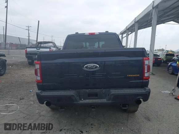 2022 Ford F-150 XL with VIN 1FTEW1E80NFB07689, listed as a IAAI auction lot 41891624 with 41,515 mi miles and . Bid and sale history available at carsss.com. Image 17.