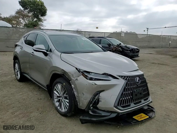 2025 Lexus NX with VIN 2T2GKCEZ6SC041433, listed as a Copart auction lot 43828265 with 1,343 mi miles and Salvage Title. Bid and sale history available at carsss.com. Image 11.