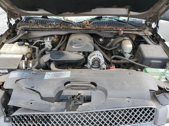 2005 Chevrolet Silverado 1500 Work Truck with VIN 1GCEC14V85Z316676, listed as a Copart auction lot 48424985 with 51,310 mi miles and Non Repairable. Bid and sale history available at DreamBid. Image 11.