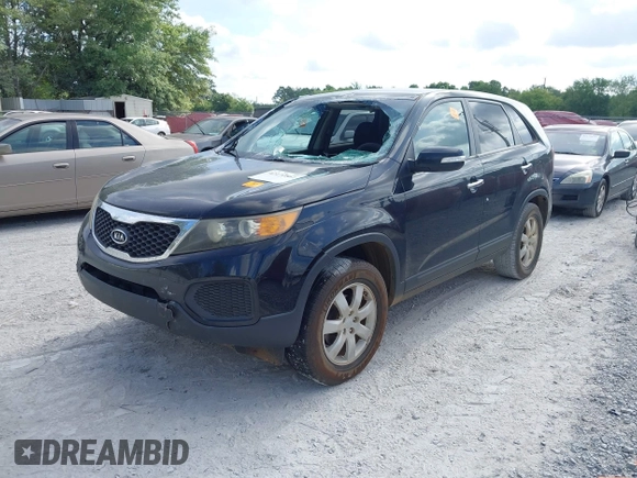 2011 Kia Sorento LX with VIN 5XYKT3A19BG069582, listed as a IAAI auction lot 42172861 with Not Provided miles and . Bid and sale history available at DreamBid. Image 2.