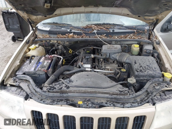 1999 Jeep Grand Cherokee Limited with VIN 1J4GW68SXXC664055, listed as a IAAI auction lot 42339125 with 219,792 mi miles and . Bid and sale history available at DreamBid. Image 10.