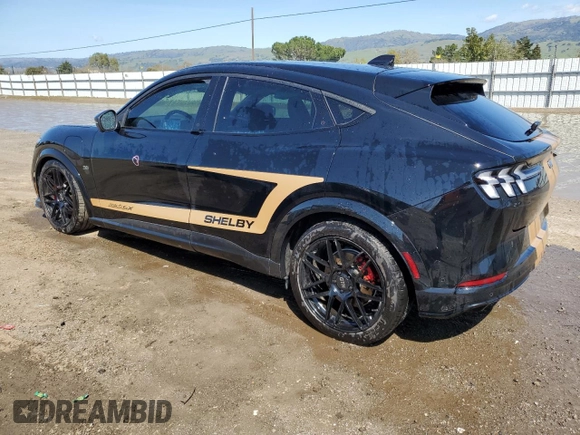 2023 Ford Mustang Mach-E GT with VIN 3FMTK4SE8PMA75216, listed as a Copart auction lot 50100965 with Not Provided miles and Clean Title. Bid and sale history available at DreamBid. Image 2.