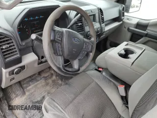 2016 Ford F-150 XL with VIN 1FTMF1CP0GKD10534, listed as a Copart auction lot 50869025 with 307,869 mi miles and Salvage Title. Bid and sale history available at carsss.com. Image 8.