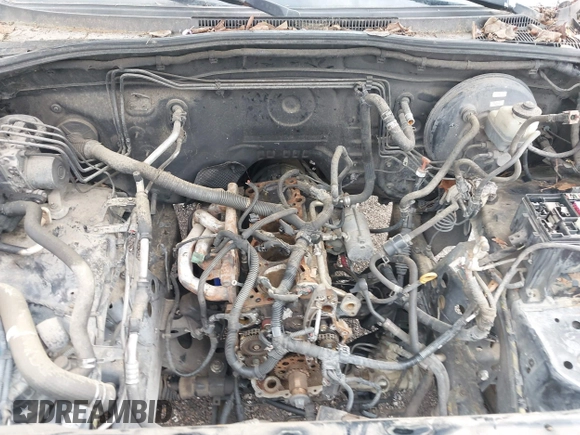 2009 Toyota Tacoma with VIN 5TENX22NX9Z593210, listed as a IAAI auction lot 41830477 with 314,010 mi miles. Bid and sale history available at carsss.com. Image 17.