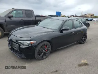 2020 Alfa Romeo Giulia with VIN ZARFANAN8L7626864, listed as a Copart auction lot 87963665 with 21,829 mi miles and Salvage Title. Bid and sale history available at carsss.com. Image 1.