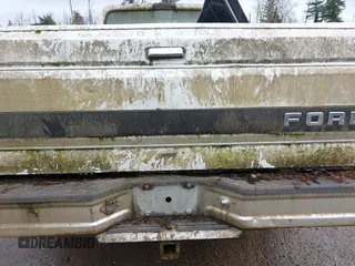 1995 Ford F-150 with VIN 1FTEF14H4SLA77725, listed as a IAAI auction lot 41782420 with 234,976 mi miles. Bid and sale history available at carsss.com. Image 13.