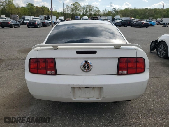 2006 Ford Mustang Standard with VIN 1ZVHT80N965264587, listed as a Copart auction lot 55333555 with 240,343 mi miles and Clean Title. Bid and sale history available at carsss.com. Image 6.