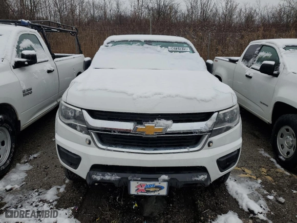 2020 Chevrolet Colorado 4WD Work Truck with VIN 1GCHTBEA3L1238995, listed as a Copart auction lot 50731815 with 126,506 mi miles and Clean Title. Bid and sale history available at carsss.com. Image 5.