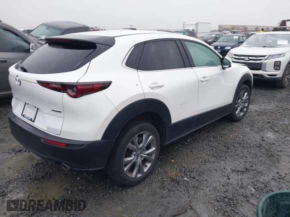 2021 Mazda CX-30 Select with VIN 3MVDMBBL3MM205256, listed as a IAAI auction lot 41302313 with 17,709 mi miles and . Bid and sale history available at DreamBid. Image 4.