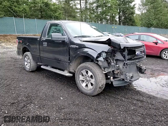 2013 Ford F-150 XL with VIN 1FTMF1EF1DKF32841, listed as a Copart auction lot 43436565 with 64,986 mi miles and Salvage Title. Bid and sale history available at DreamBid. Image 10.