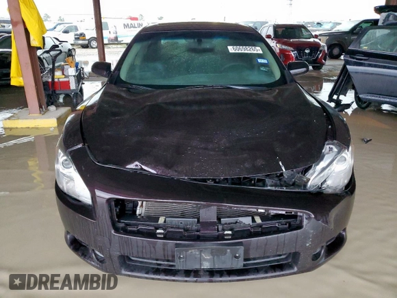 2010 Nissan Maxima SV with VIN 1N4AA5AP8AC841306, listed as a Copart auction lot 60698265 with 117,853 mi miles and Salvage title. Bid and sale history available at DreamBid. Image 5.