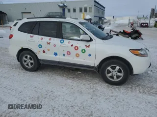 2009 Hyundai Santa Fe GL with VIN 5NMSG13E99H318861, listed as a Copart auction lot 46081195 with 294,793 mi miles and Clean title. Bid and sale history available at DreamBid. Image 4.
