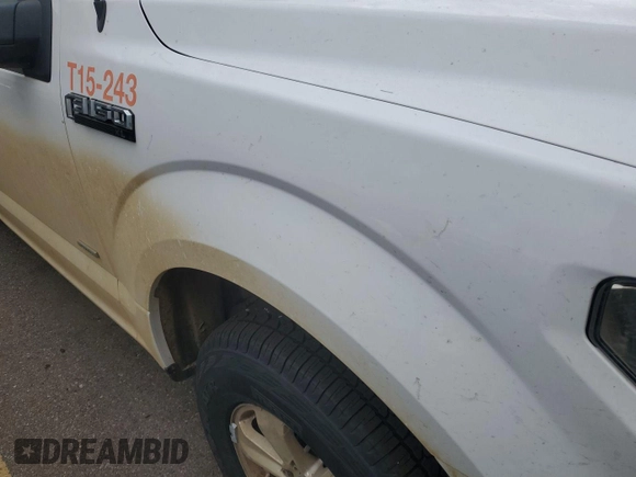 2017 Ford F-150 XL with VIN 1FTEX1EP2HKE24356, listed as a IAAI auction lot 42642764 with 166,258 mi miles and . Bid and sale history available at DreamBid. Image 1.