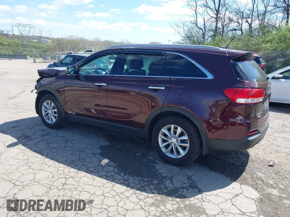2017 Kia Sorento LX with VIN 5XYPGDA53HG224624, listed as a IAAI auction lot 41976003 with Not Provided miles and . Bid and sale history available at carsss.com. Image 3.