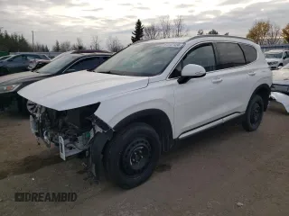 2019 Hyundai Santa Fe SEL z VIN 5NMS3CAD8KH005047, wystawiony jako Copart lot #81047124 z przebiegiem 123 383 mil mil oraz Szkoda całkowita • Salvage title. Historia ofert i sprzedaży dostępna na DreamBid. Obrazek 1.
