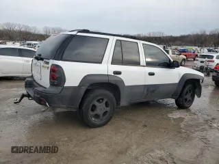 2007 Chevrolet TrailBlazer LS with VIN 1GNDS13S572165188, listed as a Copart auction lot 89381025 with Not Provided miles and Salvage Title. Bid and sale history available at DreamBid. Image 3.