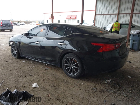 2016 Nissan Maxima SV with VIN 1N4AA6AP7GC903146, listed as a IAAI auction lot 41624866 with Not provided miles and . Bid and sale history available at DreamBid. Image 3.