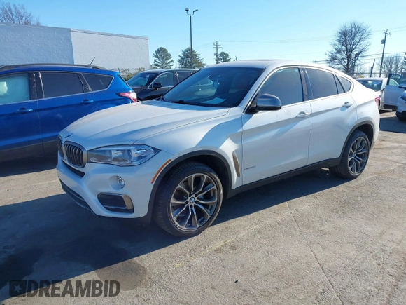 2017 BMW X6 xDrive35i z VIN 5UXKU2C3XH0U29395, wystawiony jako IAAI lot #41237496 z przebiegiem 82 836 mil mil oraz . Historia ofert i sprzedaży dostępna na DreamBid. Obrazek 18.