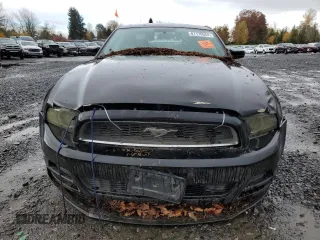 2013 Ford Mustang V6 with VIN 1ZVBP8AM9D5280169, listed as a Copart auction lot 81176564 with 155,330 mi miles and Salvage title. Bid and sale history available at DreamBid. Image 5.