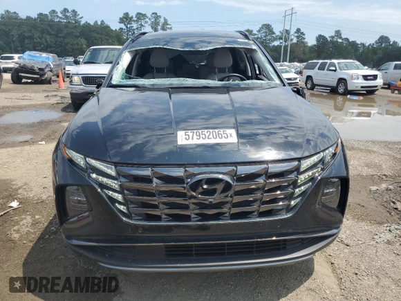 2023 Hyundai Tucson Limited with VIN 5NMJE3AE8PH291066, listed as a Copart auction lot 57952065 with 20,329 mi miles and Salvage title. Bid and sale history available at DreamBid. Image 5.