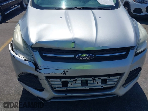 2013 Ford Escape SE with VIN 1FMCU0GX0DUA19811, listed as a IAAI auction lot 42009015 with 135,662 mi miles. Bid and sale history available at carsss.com. Image 6.